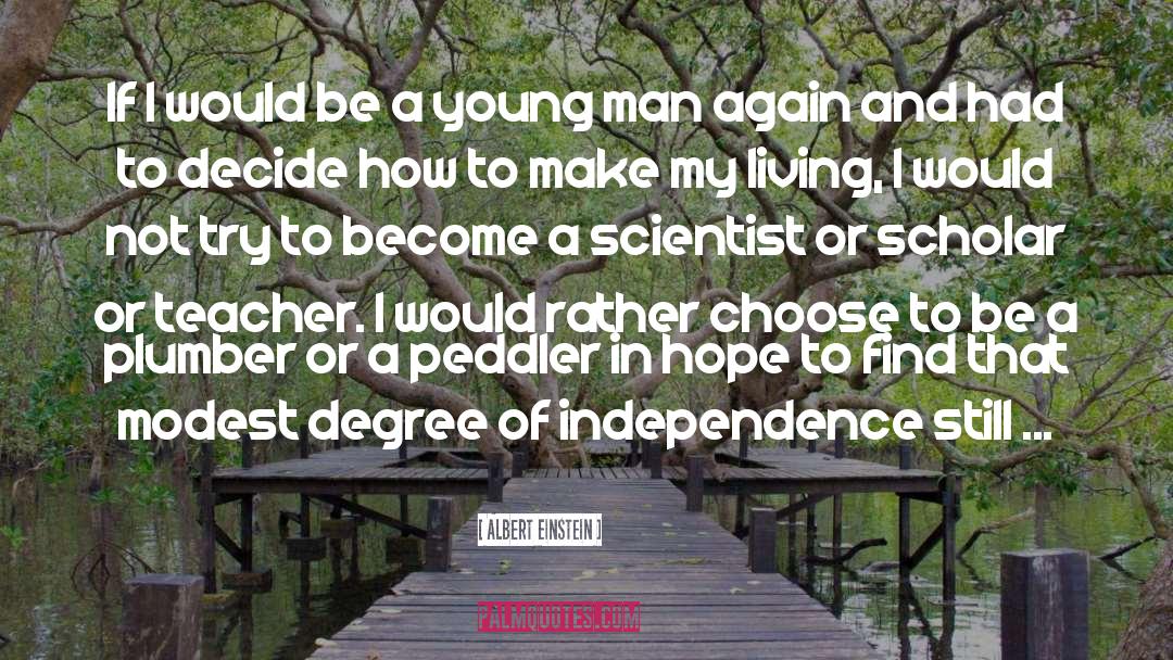 Pioneering Scientist quotes by Albert Einstein