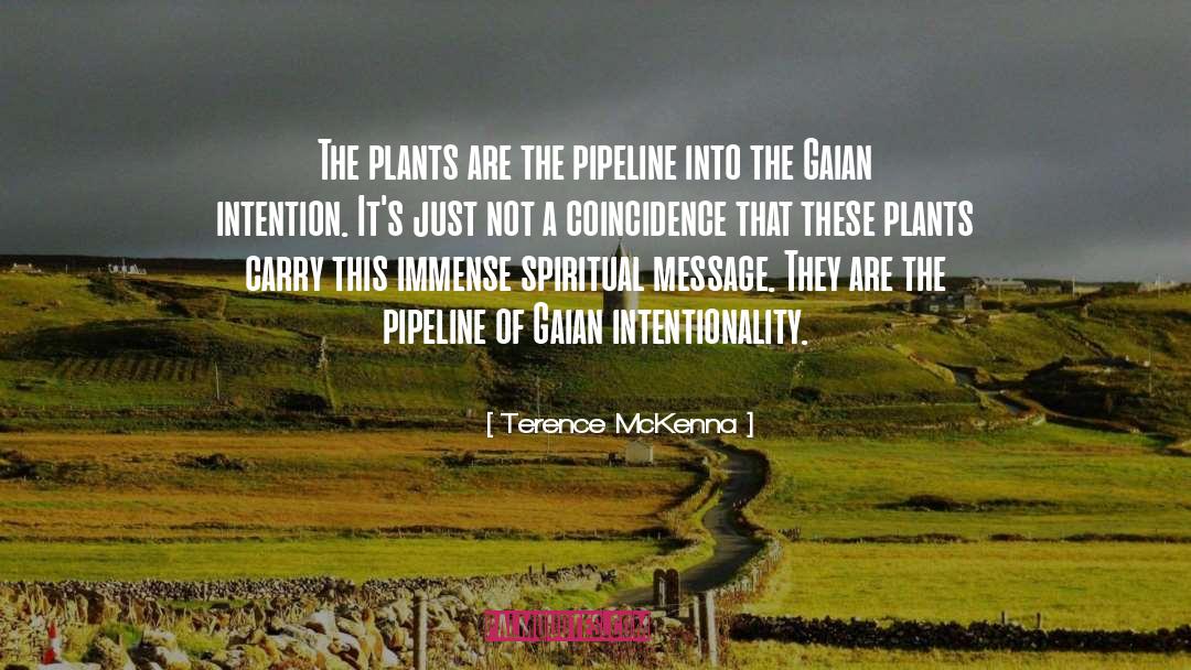 Pipeline quotes by Terence McKenna