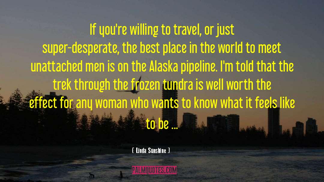 Pipeline quotes by Linda Sunshine