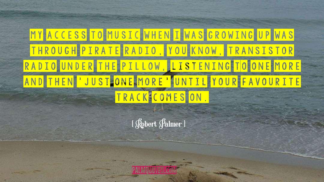 Pirate Radio quotes by Robert Palmer