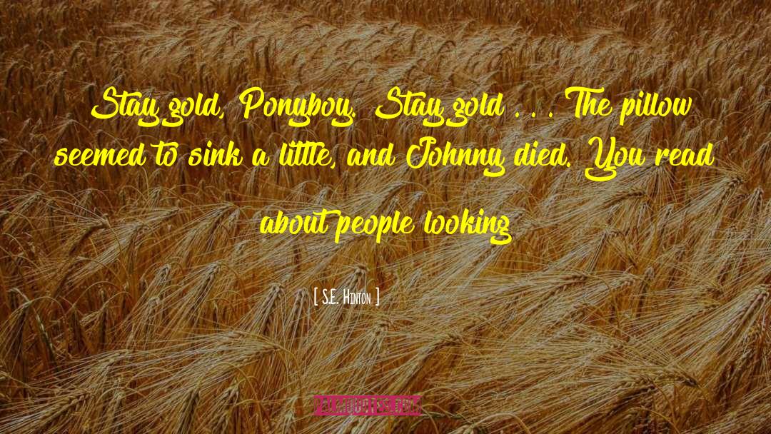 Pirate S Gold quotes by S.E. Hinton