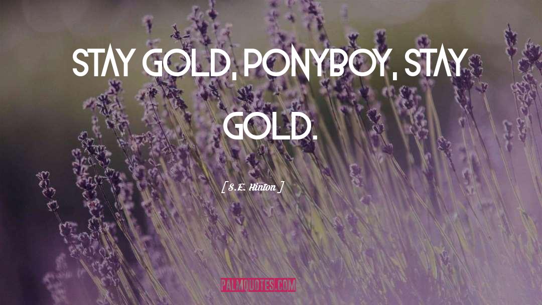 Pirate S Gold quotes by S.E. Hinton