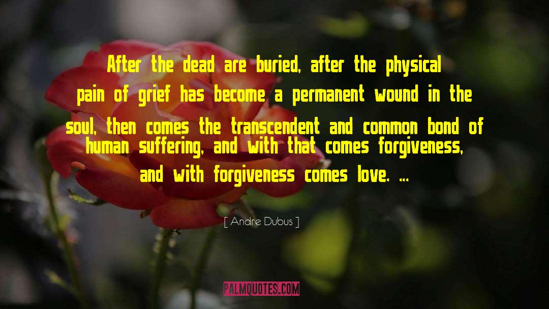 Pirates In Love quotes by Andre Dubus