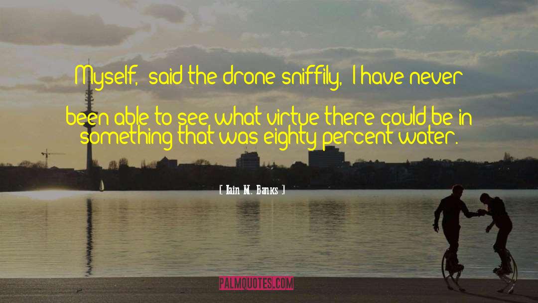 Pirker Drone quotes by Iain M. Banks