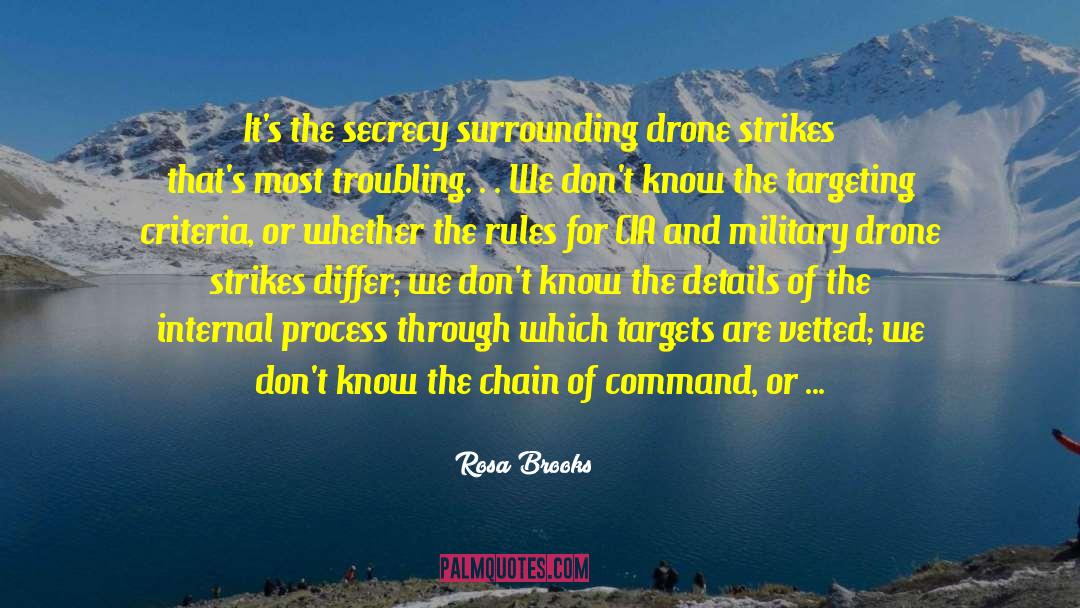 Pirker Drone quotes by Rosa Brooks