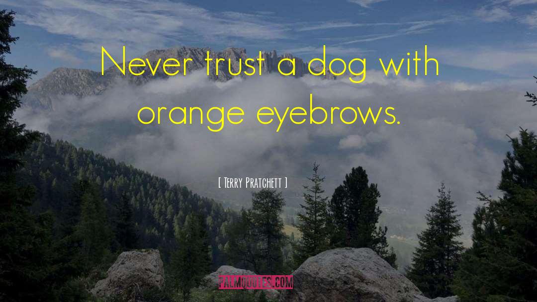 Piscatella Orange quotes by Terry Pratchett