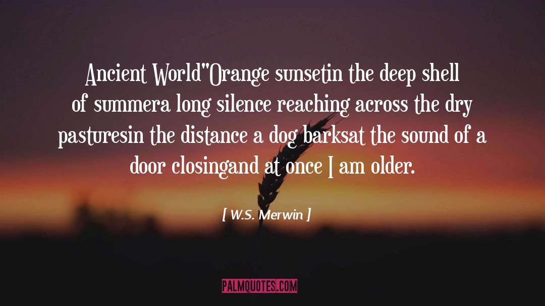 Piscetta Orange quotes by W.S. Merwin