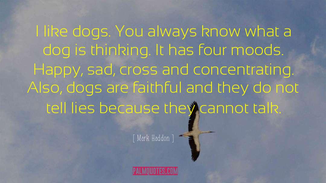 Pistachios And Dogs quotes by Mark Haddon