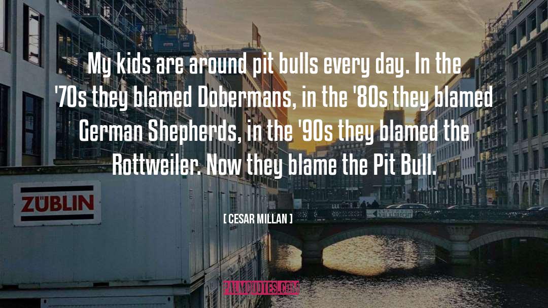 Pit Bull quotes by Cesar Millan