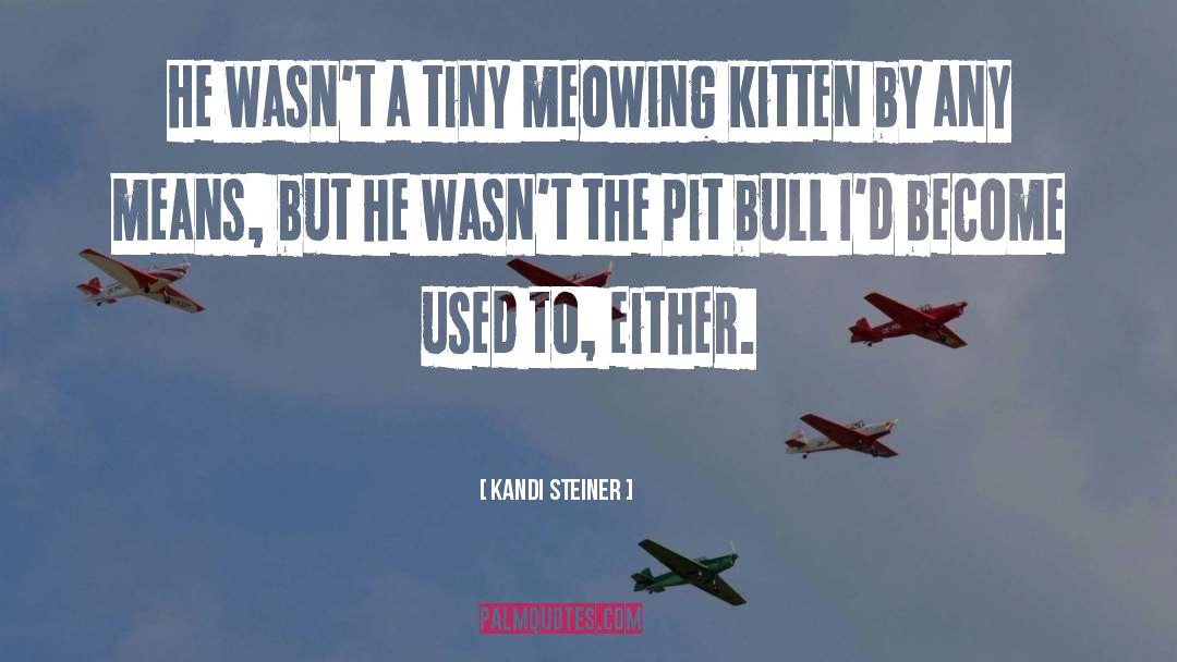 Pit Bull quotes by Kandi Steiner