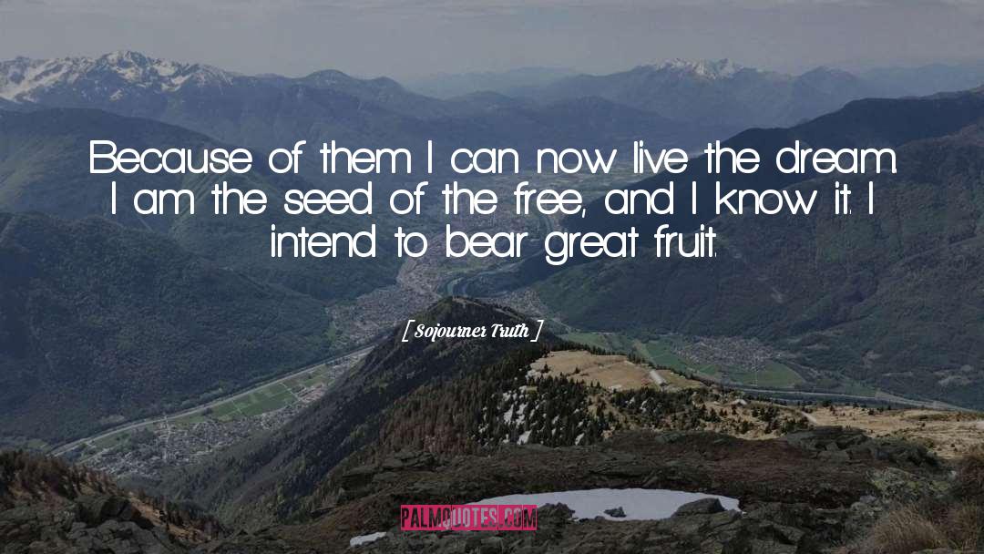 Pitanga Fruit quotes by Sojourner Truth