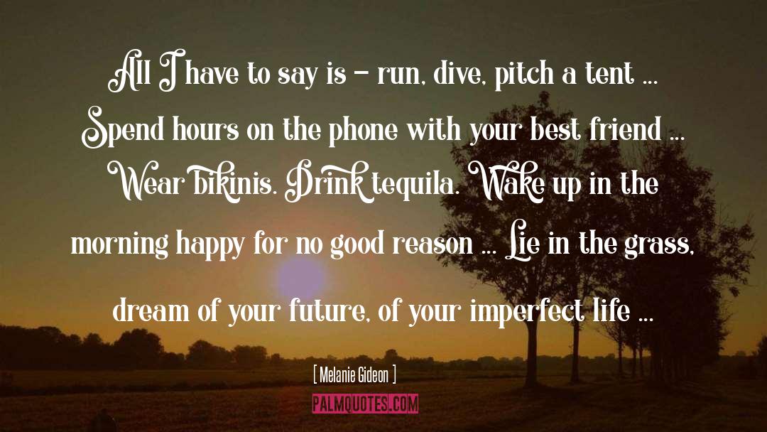 Pitch quotes by Melanie Gideon