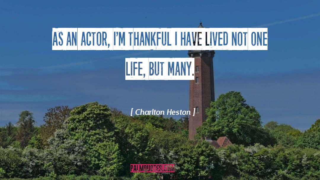 Pitfalls Life quotes by Charlton Heston