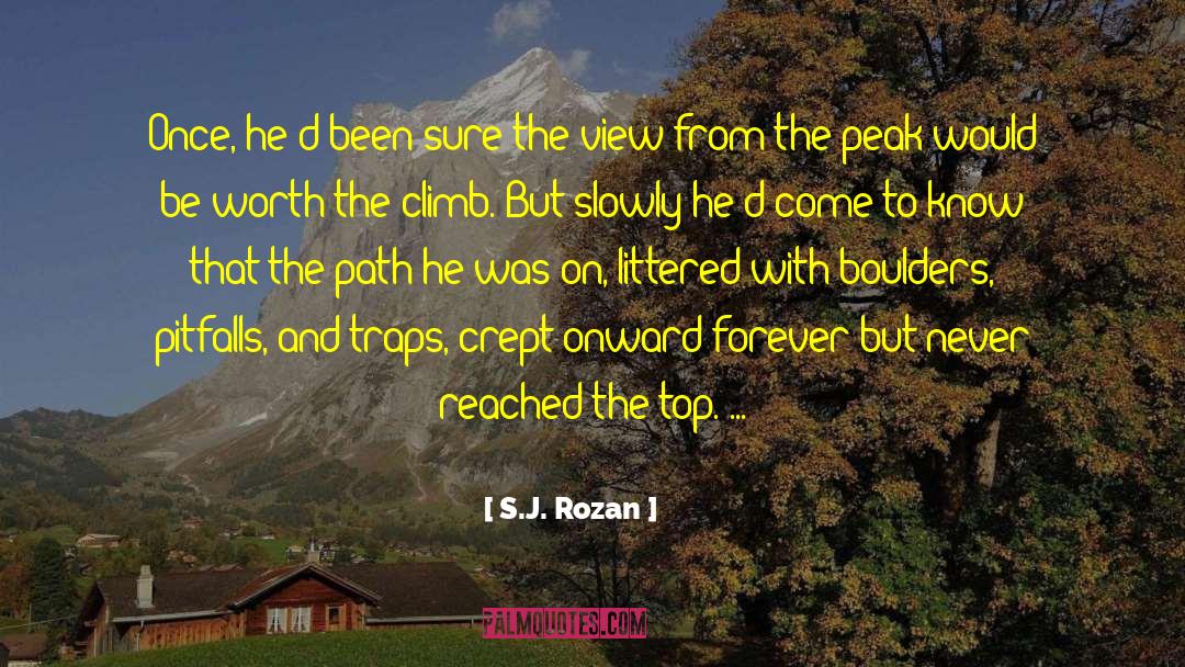 Pitfalls quotes by S.J. Rozan