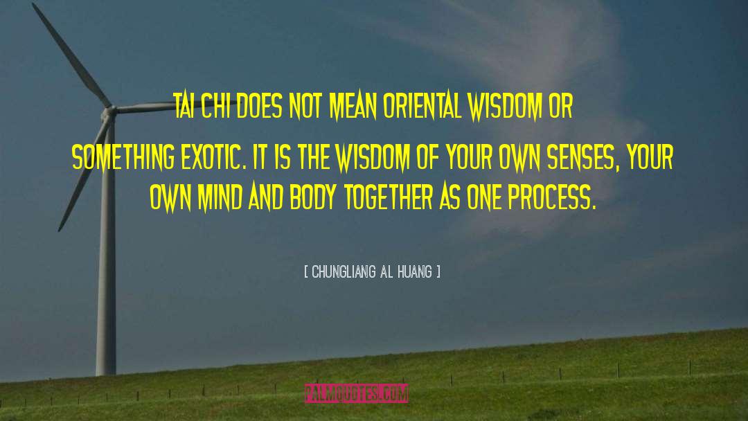 Pithy Homespun Wisdom quotes by Chungliang Al Huang