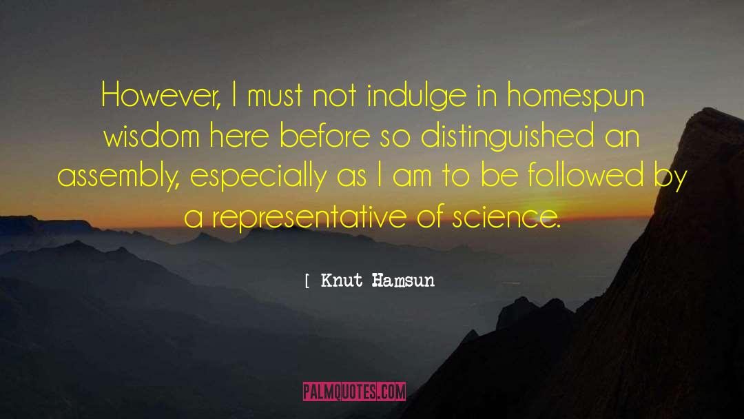 Pithy Homespun Wisdom quotes by Knut Hamsun