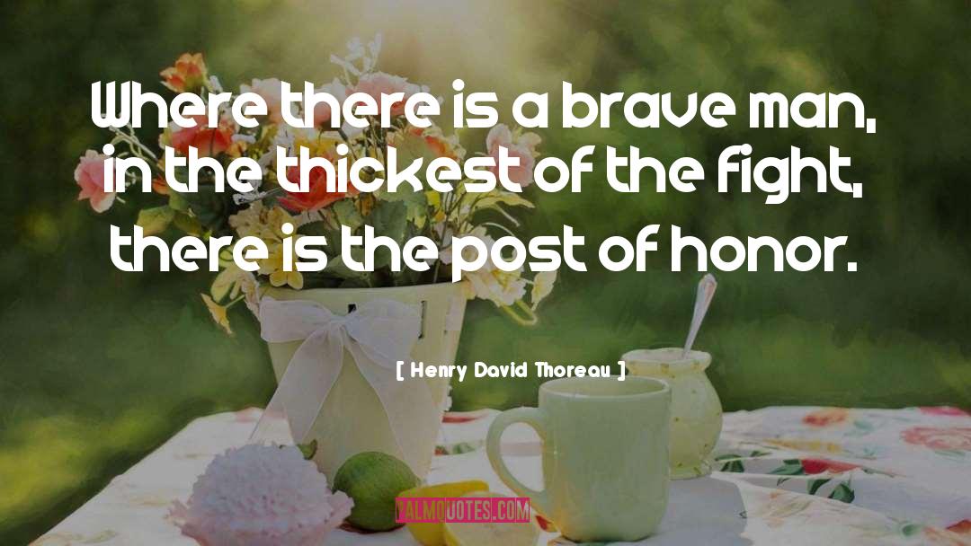 Pittsburgh Post Gazette quotes by Henry David Thoreau