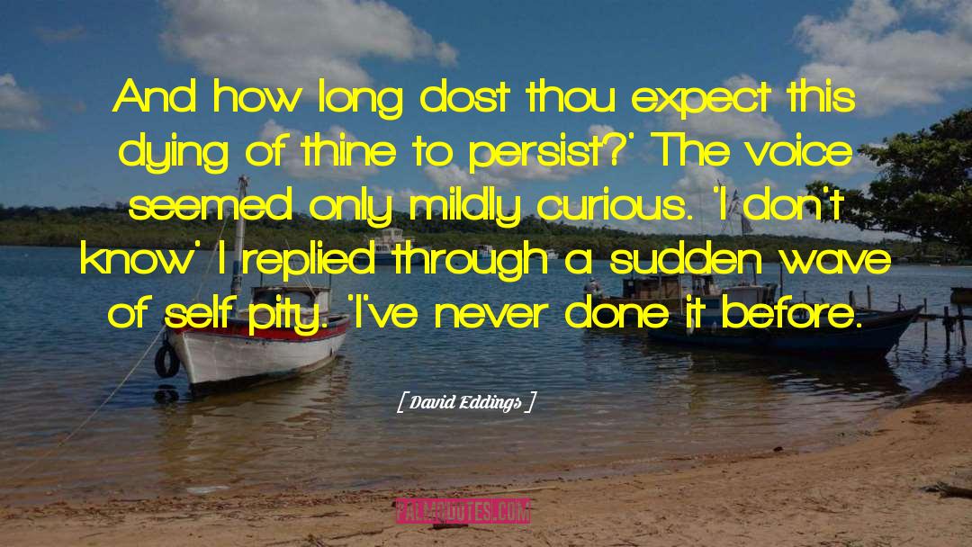 Pity Pity Lyrics quotes by David Eddings
