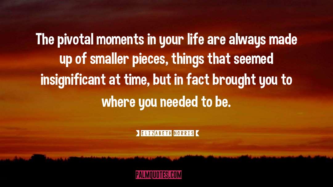 Pivotal Moments quotes by Elizabeth Norris