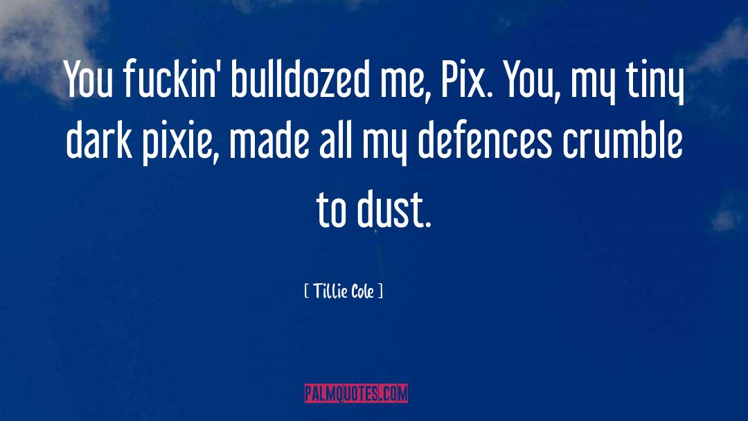 Pixie quotes by Tillie Cole