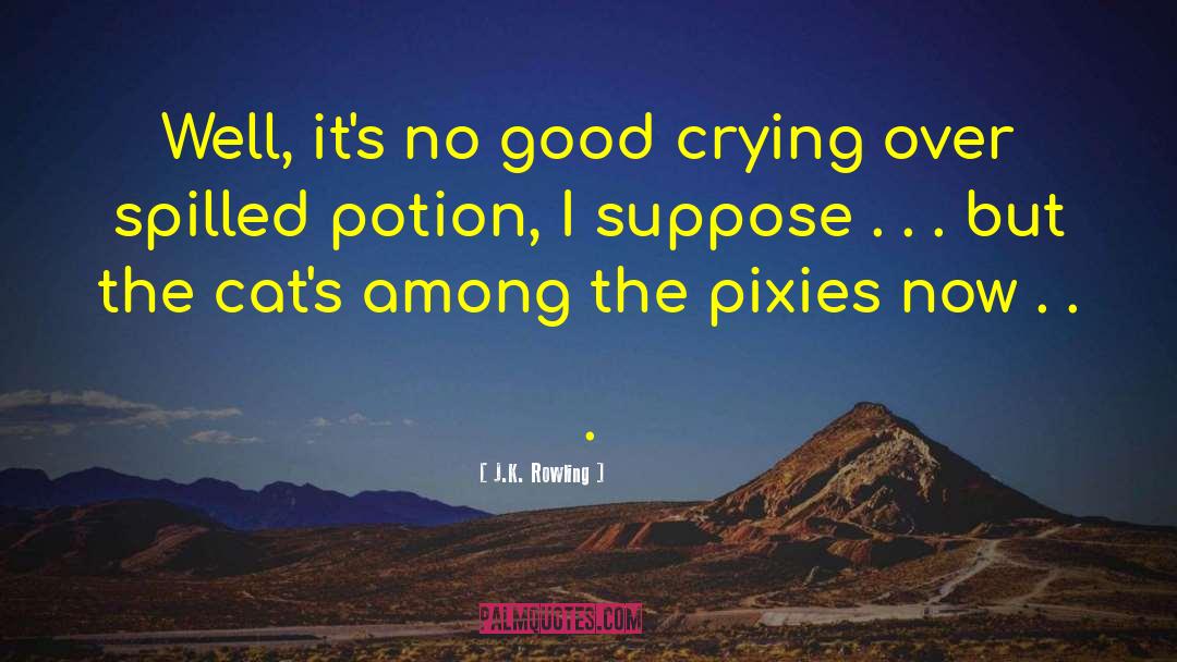 Pixies quotes by J.K. Rowling
