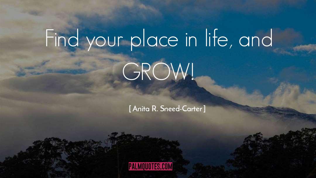 Place In Life quotes by Anita R. Sneed-Carter