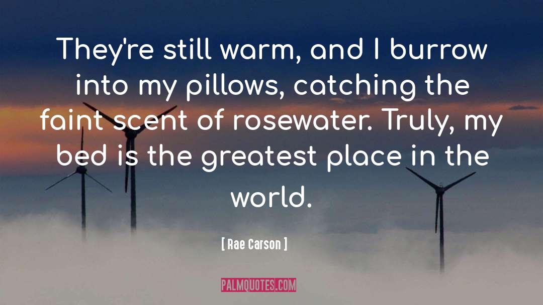 Place In The World quotes by Rae Carson