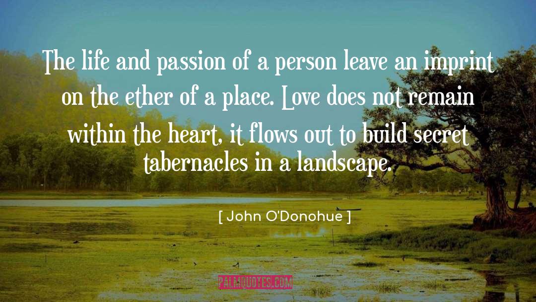 Place In Universe quotes by John O'Donohue