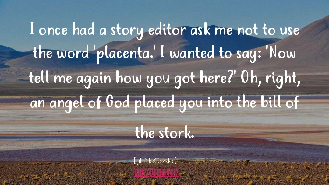 Placenta quotes by Jill McCorkle