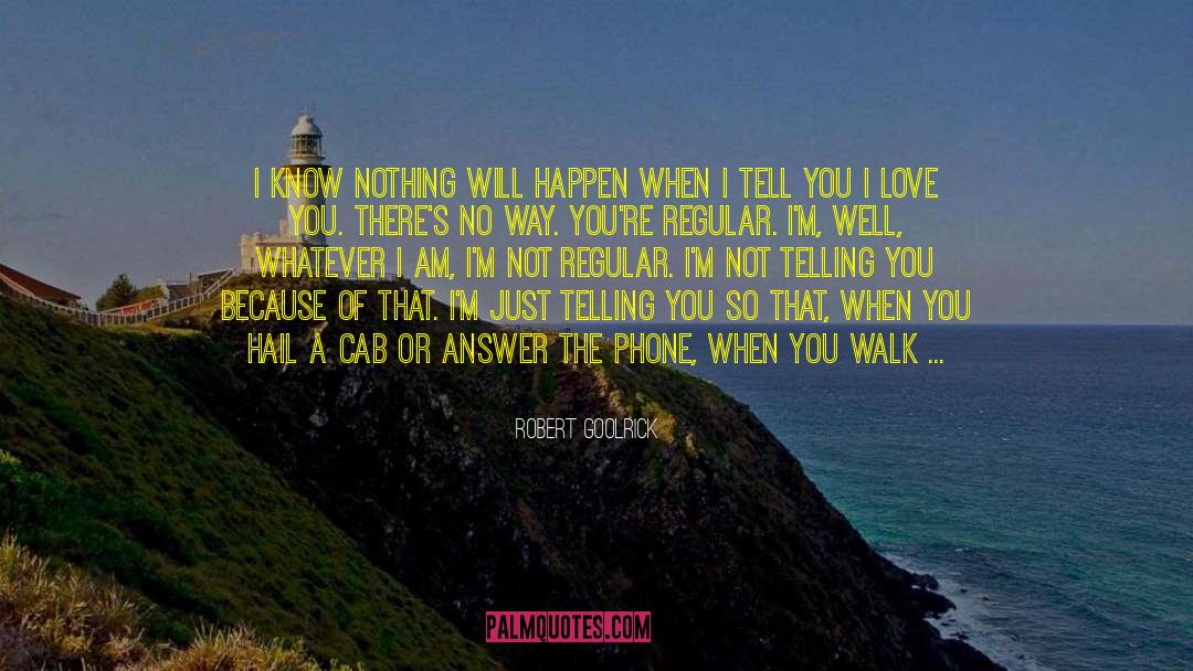 Places You Go quotes by Robert Goolrick