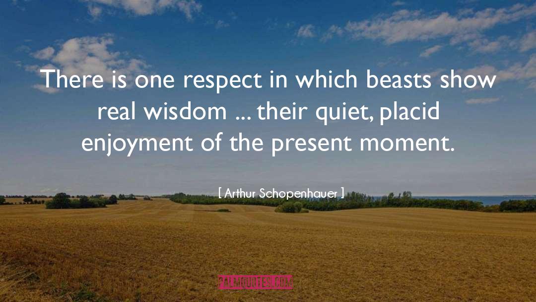 Placid quotes by Arthur Schopenhauer