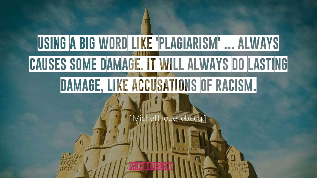 Plagiarism quotes by Michel Houellebecq