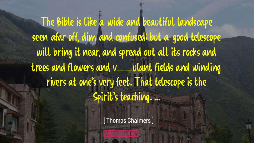 Plague Spirits quotes by Thomas Chalmers