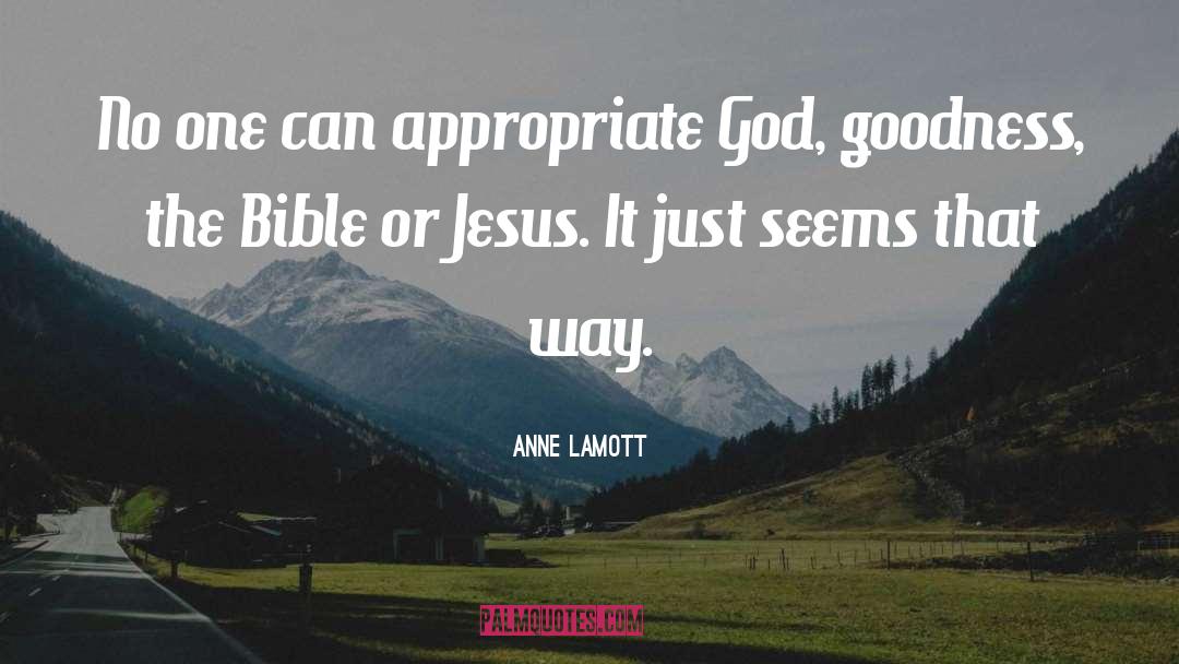 Plagues Bible quotes by Anne Lamott