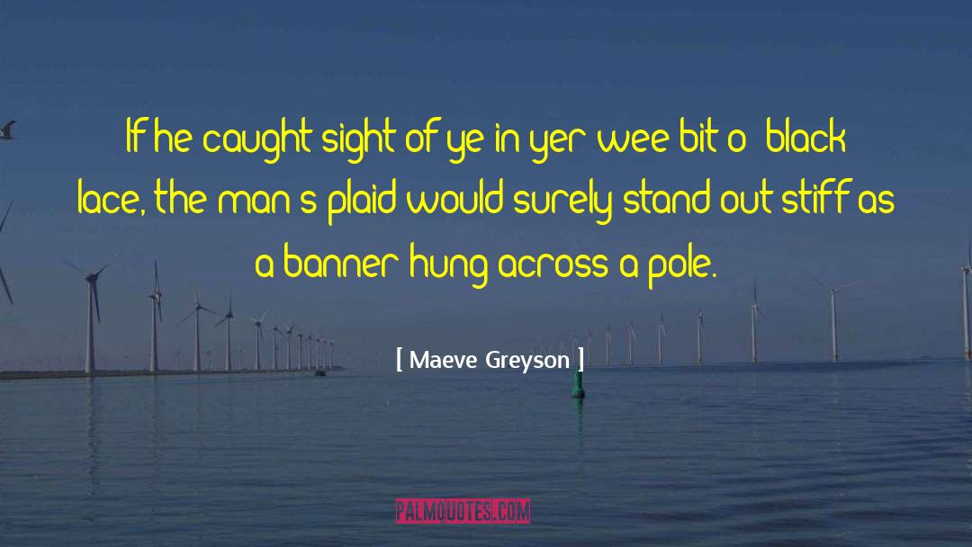 Plaid quotes by Maeve Greyson