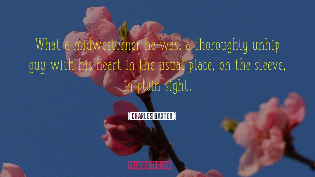 Plain Sight quotes by Charles Baxter