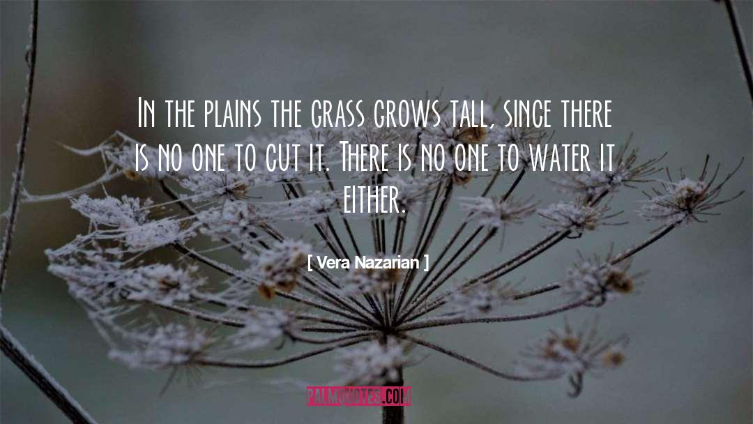 Plains quotes by Vera Nazarian