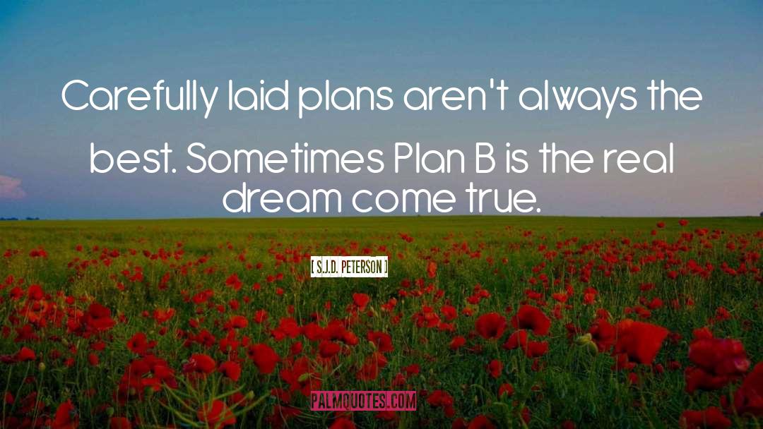 Plan B quotes by S.J.D. Peterson