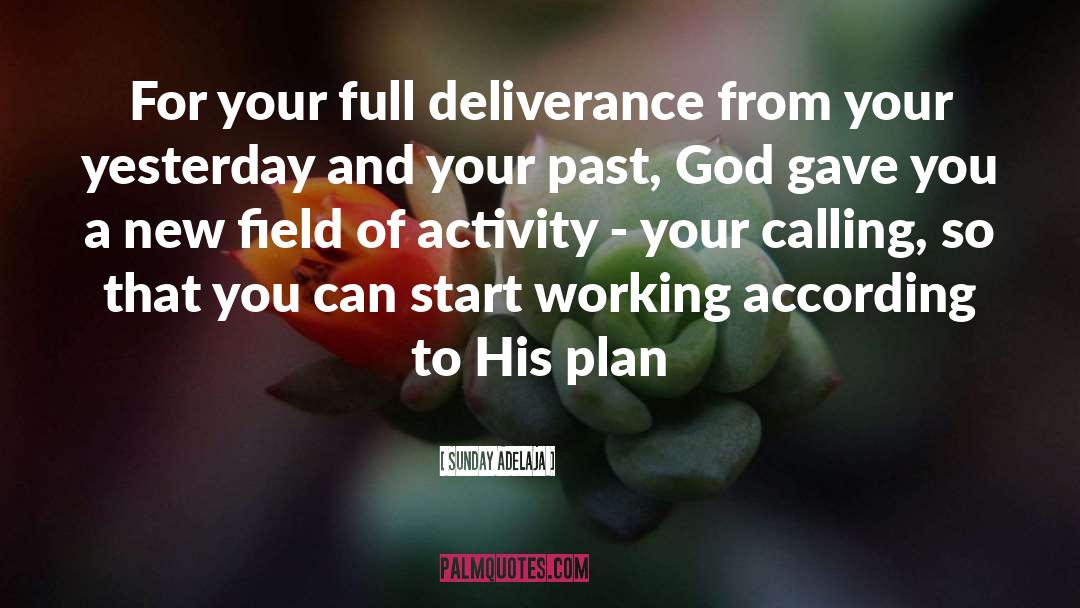Plan Of Salvation quotes by Sunday Adelaja