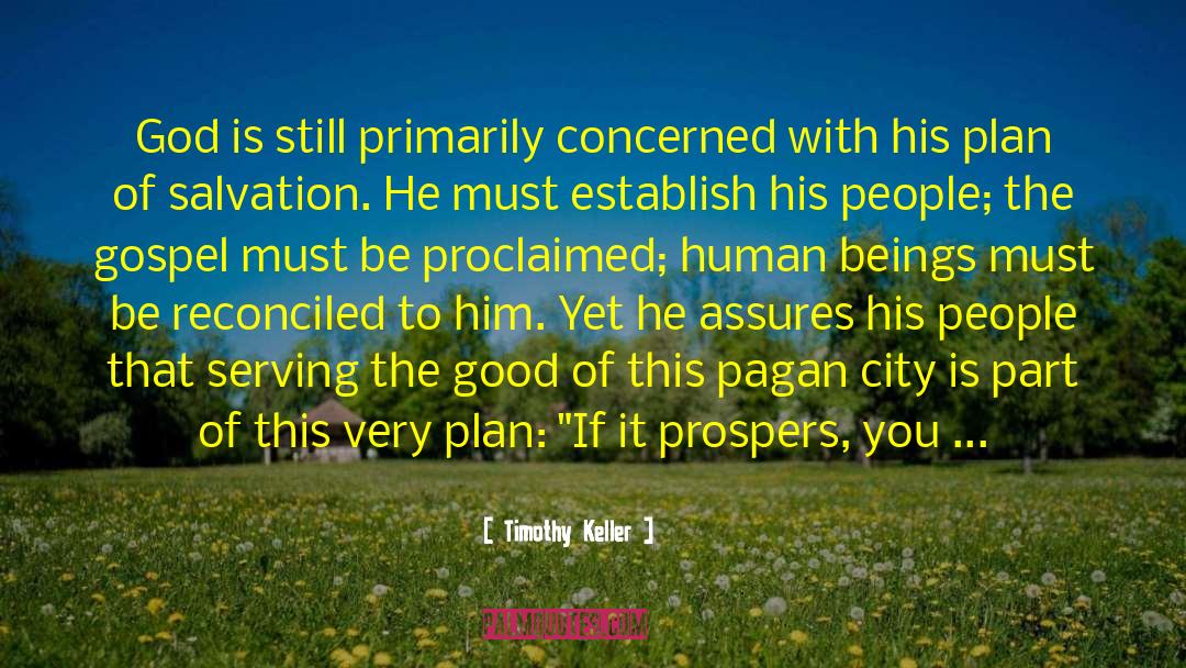 Plan Of Salvation quotes by Timothy Keller