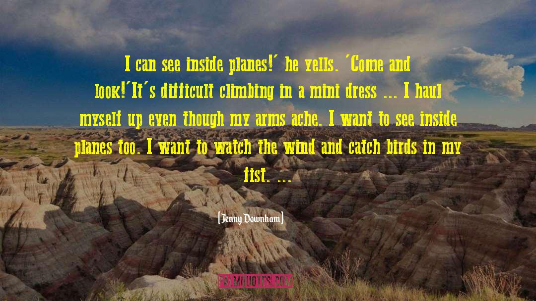 Planes quotes by Jenny Downham