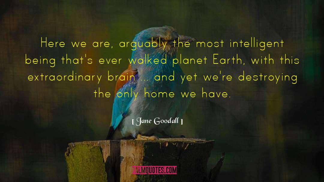 Planet Earth quotes by Jane Goodall