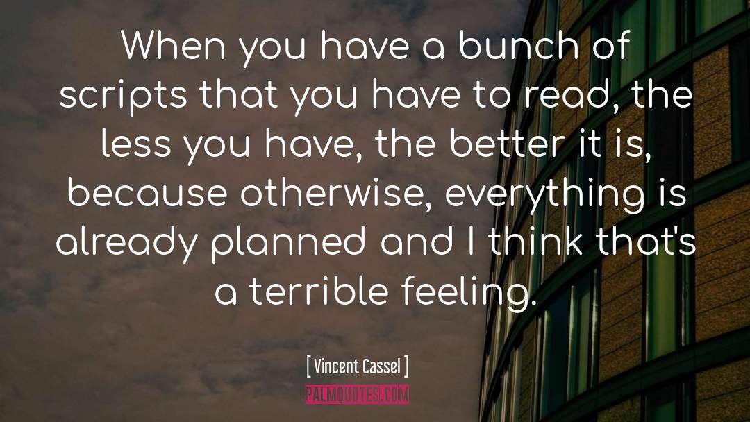 Planned Economies quotes by Vincent Cassel