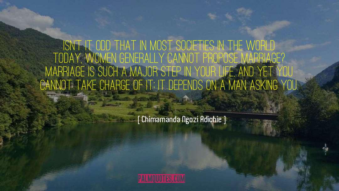Planned Societies quotes by Chimamanda Ngozi Adichie