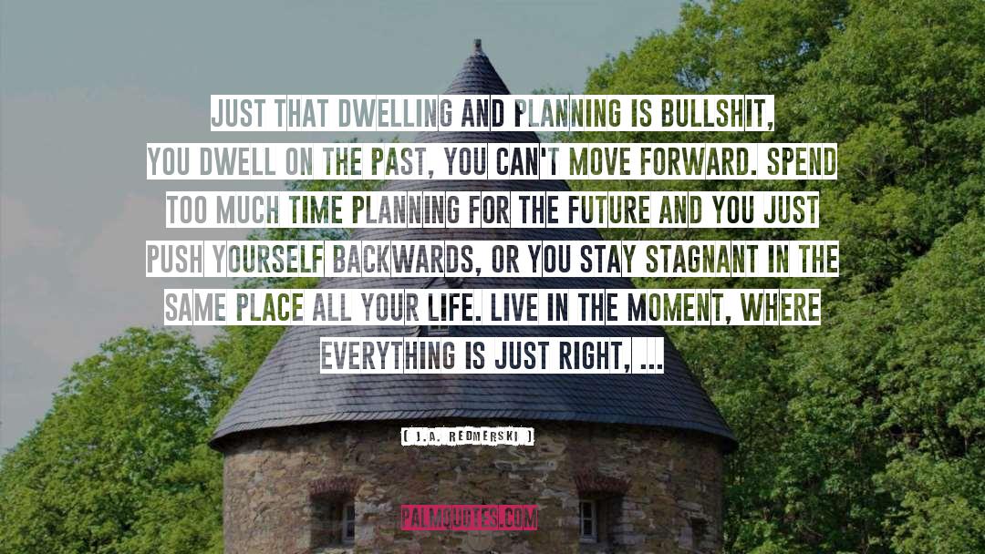 Planning For The Future quotes by J.A. Redmerski