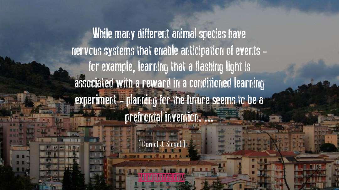Planning For The Future quotes by Daniel J. Siegel