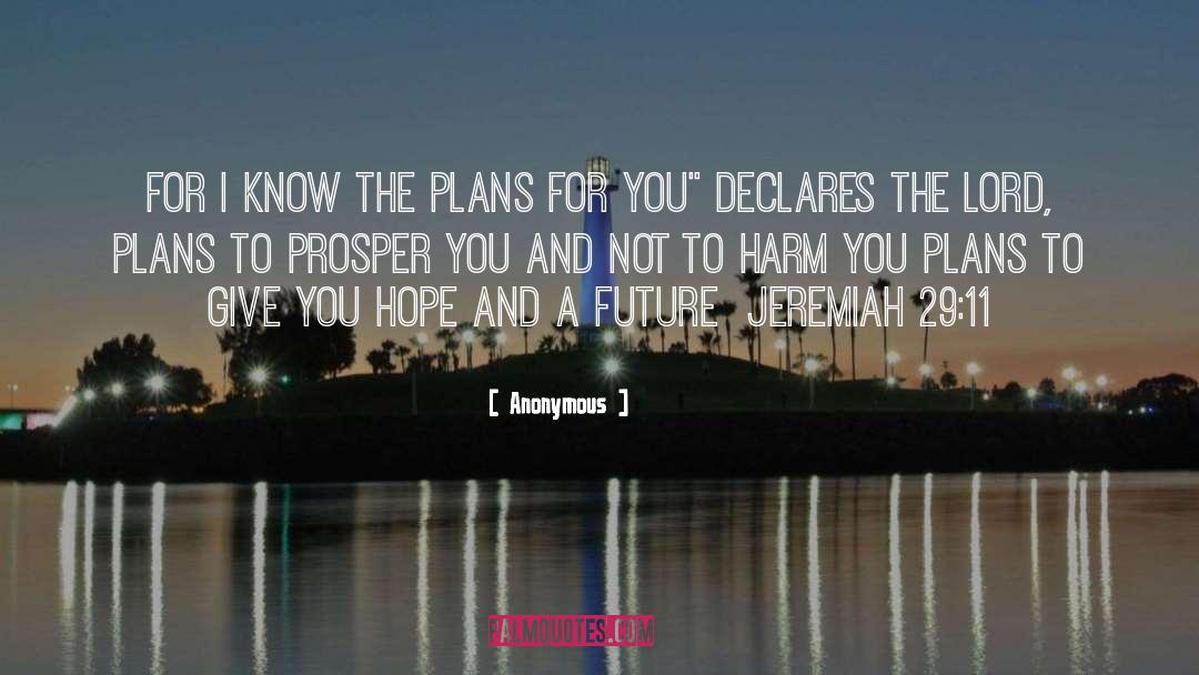 Plans quotes by Anonymous