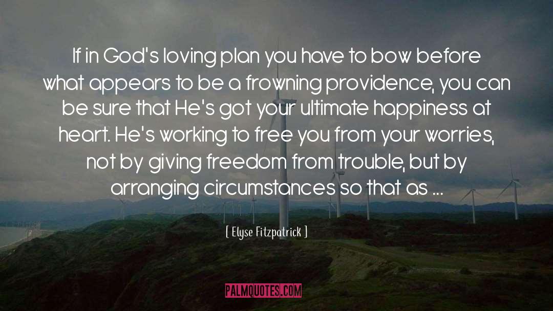 Plans quotes by Elyse Fitzpatrick