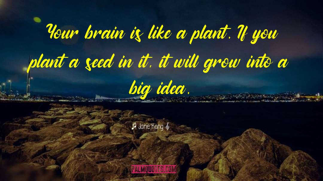 Plant A Seed quotes by Jane Kang