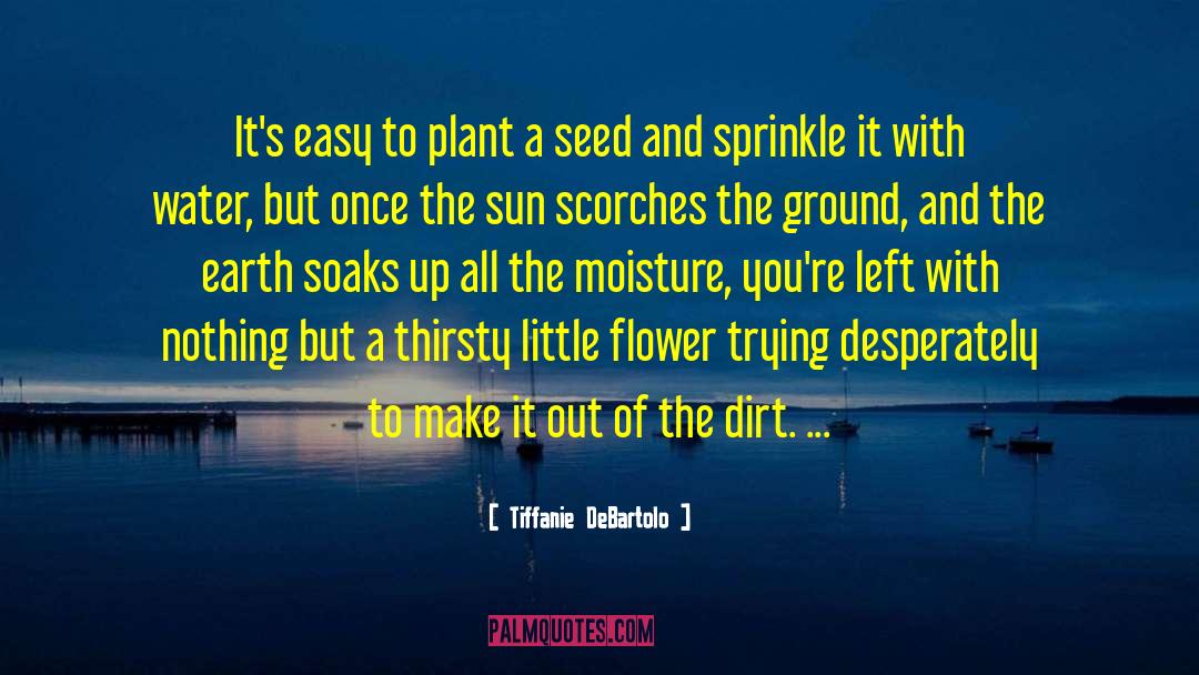 Plant A Seed quotes by Tiffanie DeBartolo